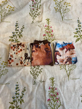 Load image into Gallery viewer, The Saddle Up Knicker set