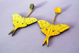 Moth Earrings